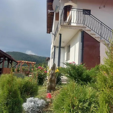Vila Holiday Houses *