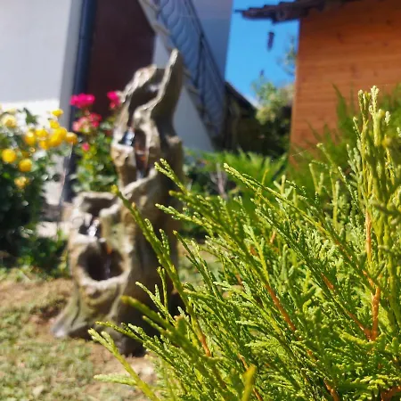 Holiday Houses Vila *